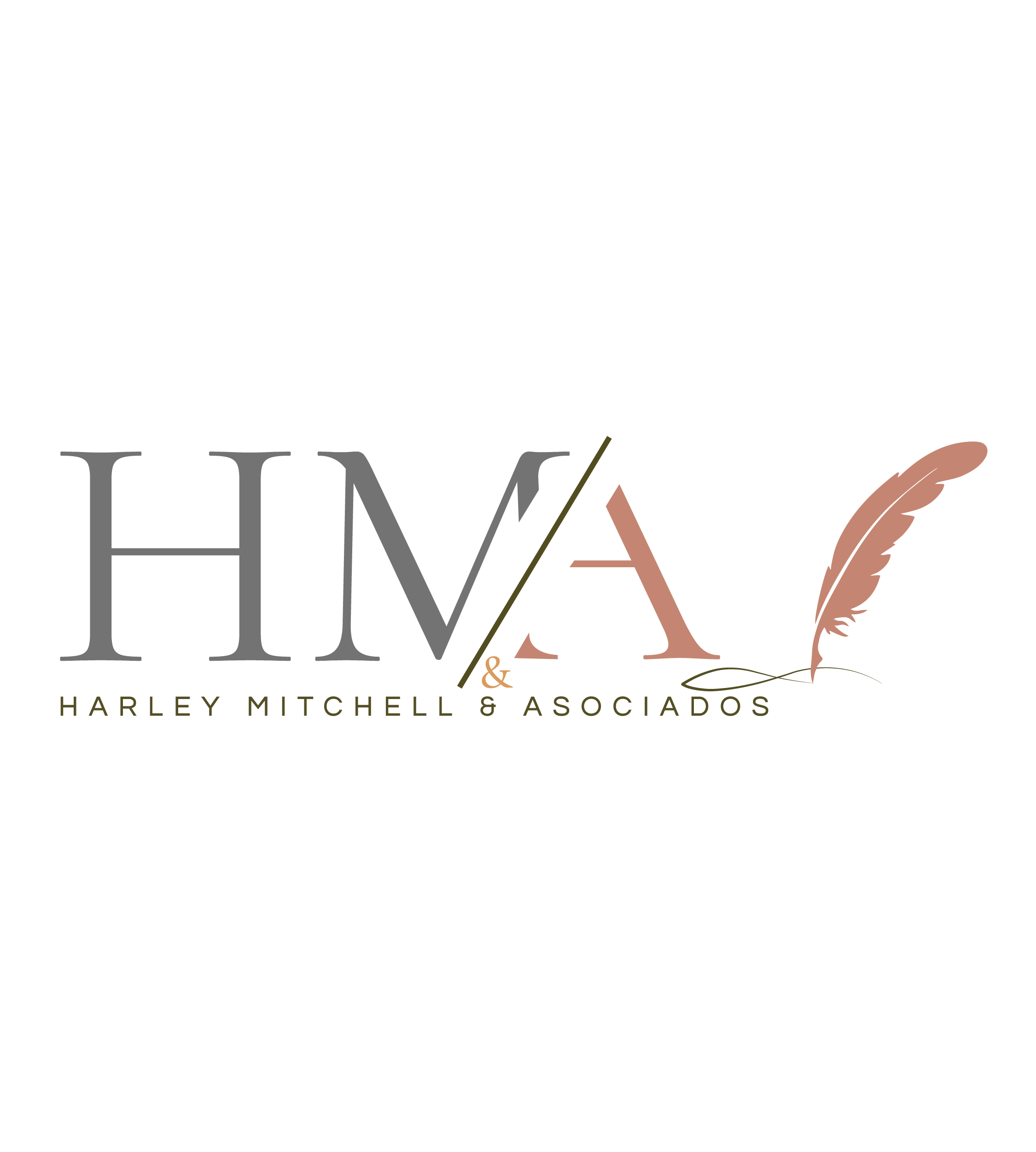 Harley Mitchell & Asociados