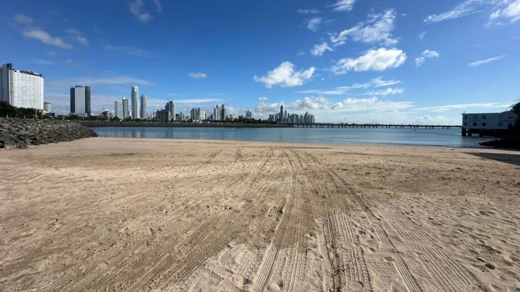Cámara Marítima de Panamá se suma a jornada de limpieza de playa junto al Municipio de Panamá