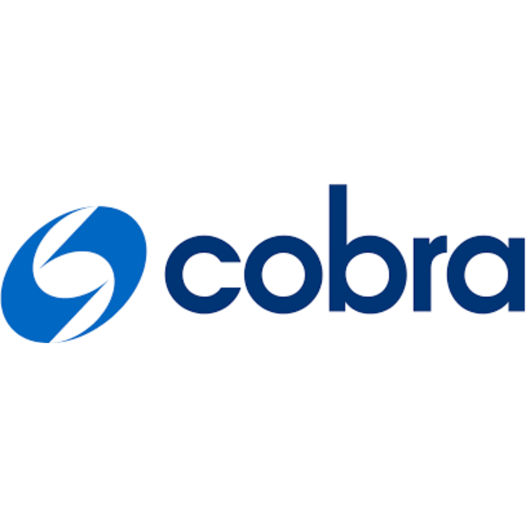 COBRA Instalaciones y Servicios S.A.