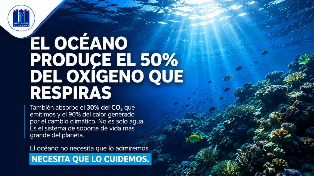 CMP destaca el valor de los océanos en el Día Mundial de los Océanos